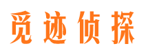 宁河市私家侦探